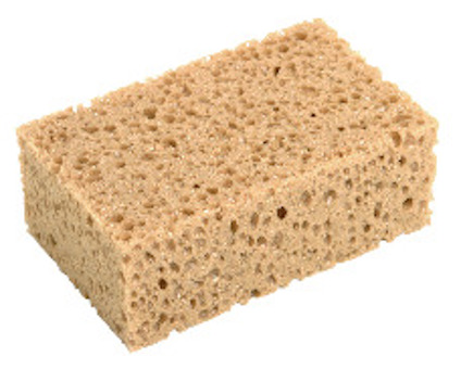 Grovporig rektangulär svamp i beige färg med synliga porer.