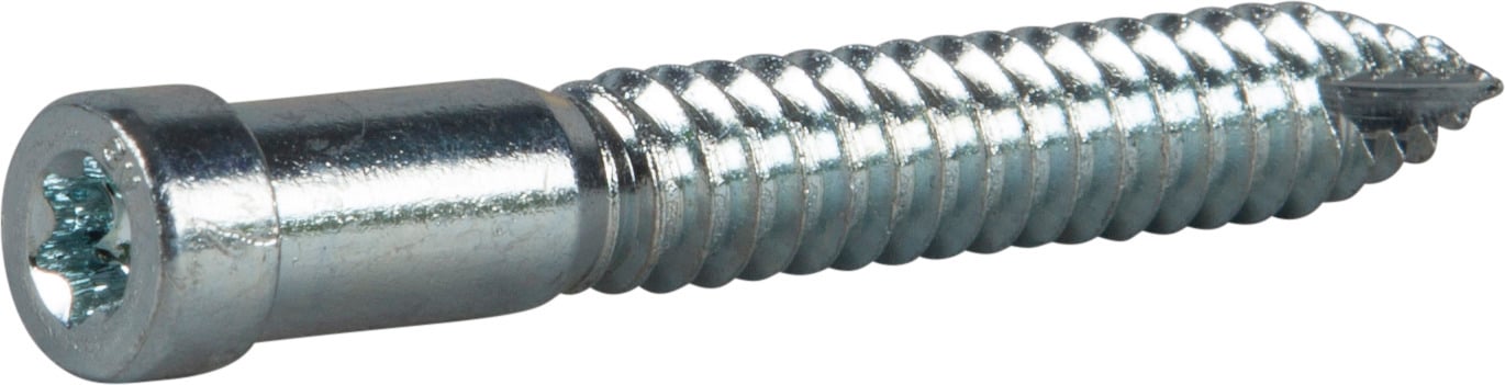 TRÄSKRUV INDU-PROG FZB TX30 8X58 100ST - ESSVE